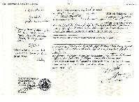 Image importée le : 27/11/2024 à 19:34:32